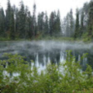 Meet your Posher, Clyde